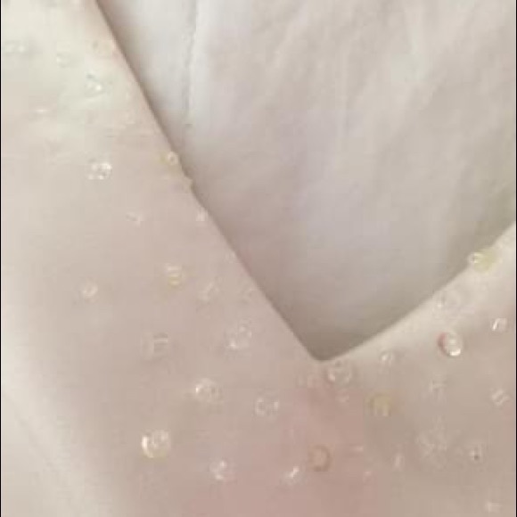 Wedding Gown - Picture 4 of 5